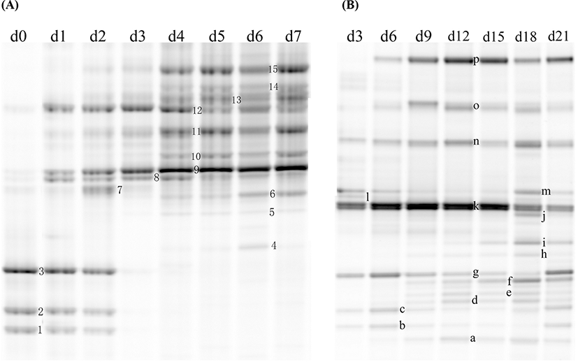 kosfa-39-2-209.g2