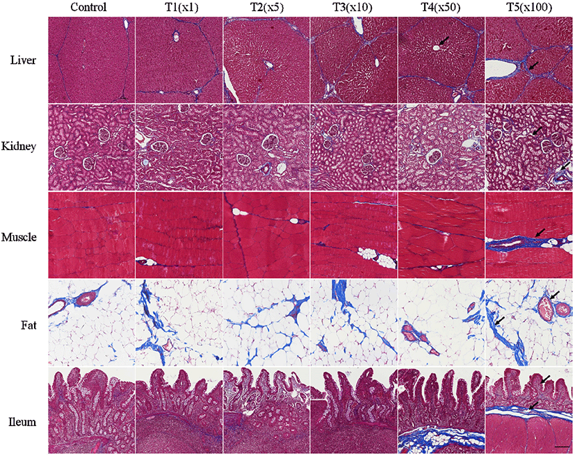 kosfa-42-1-186-g2