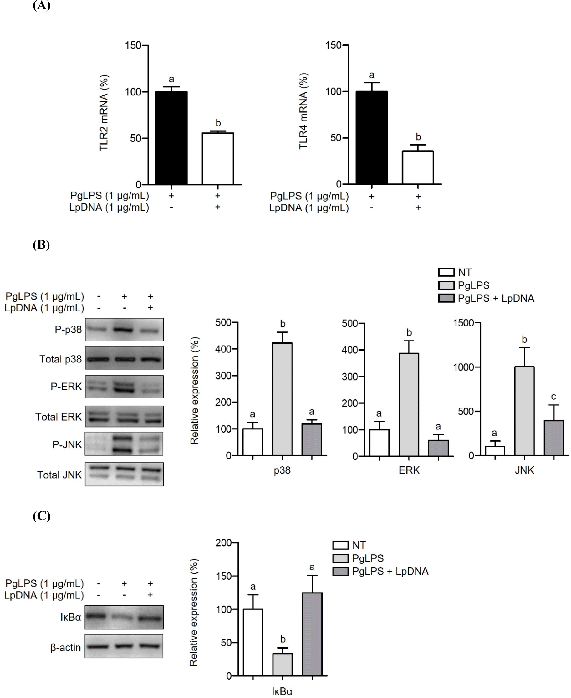 kosfa-43-5-938-g3