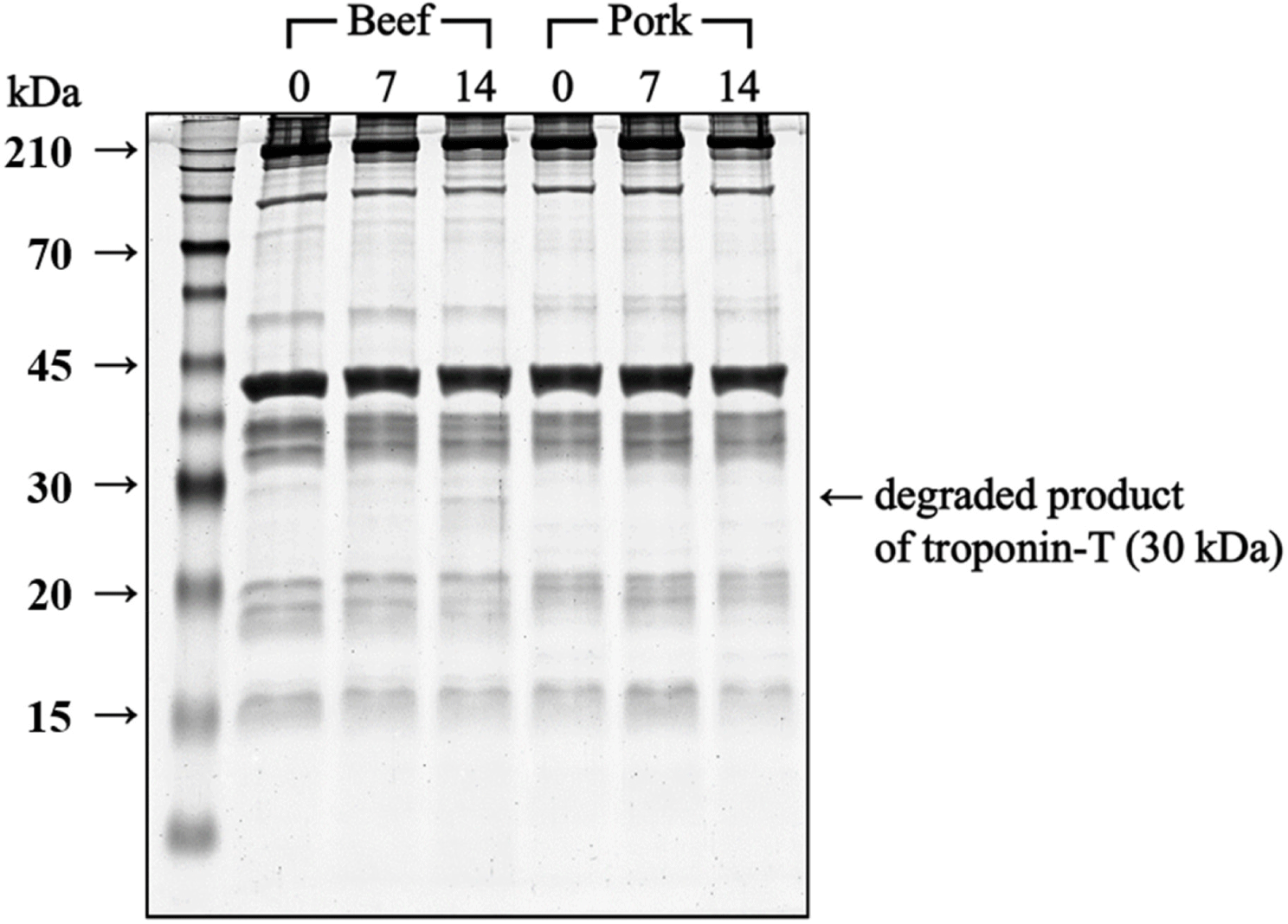 kosfa-44-5-1055-g4