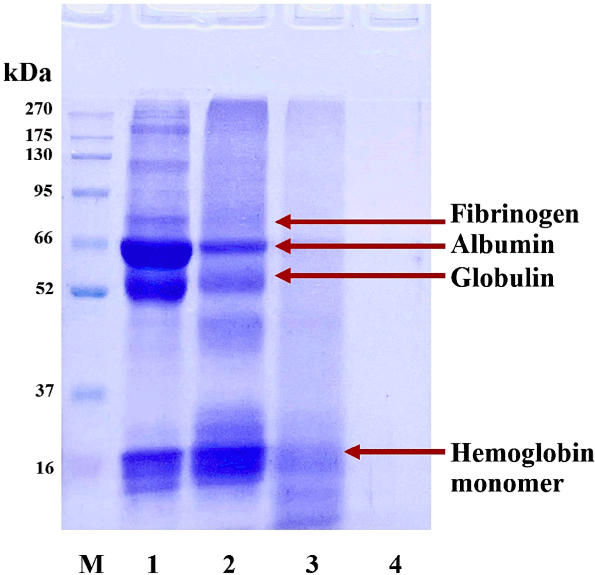 kosfa-44-6-1283-g8