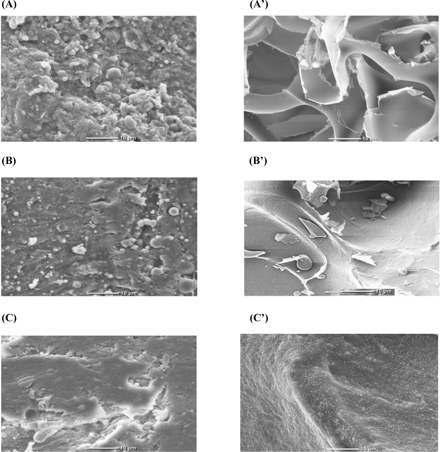 kosfa-44-6-1327-g8