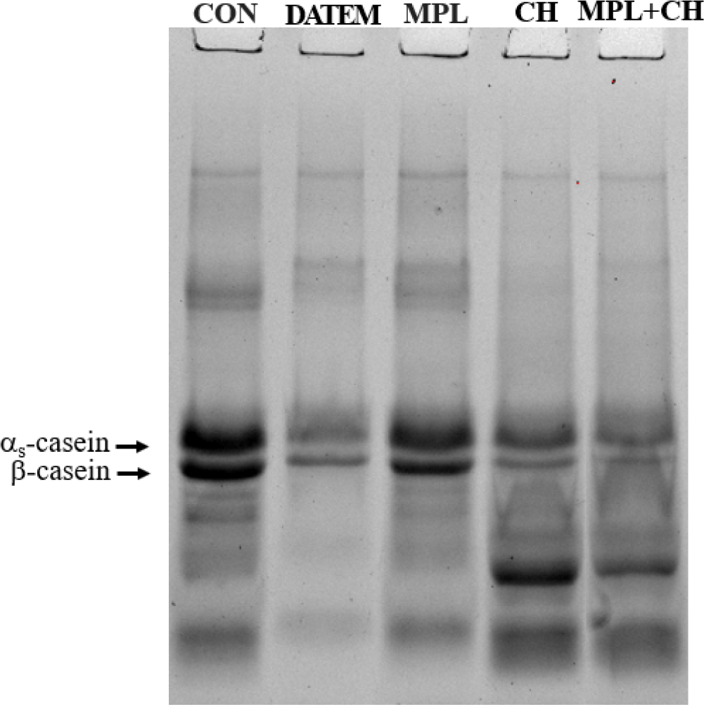 kosfa-44-6-1389-g3