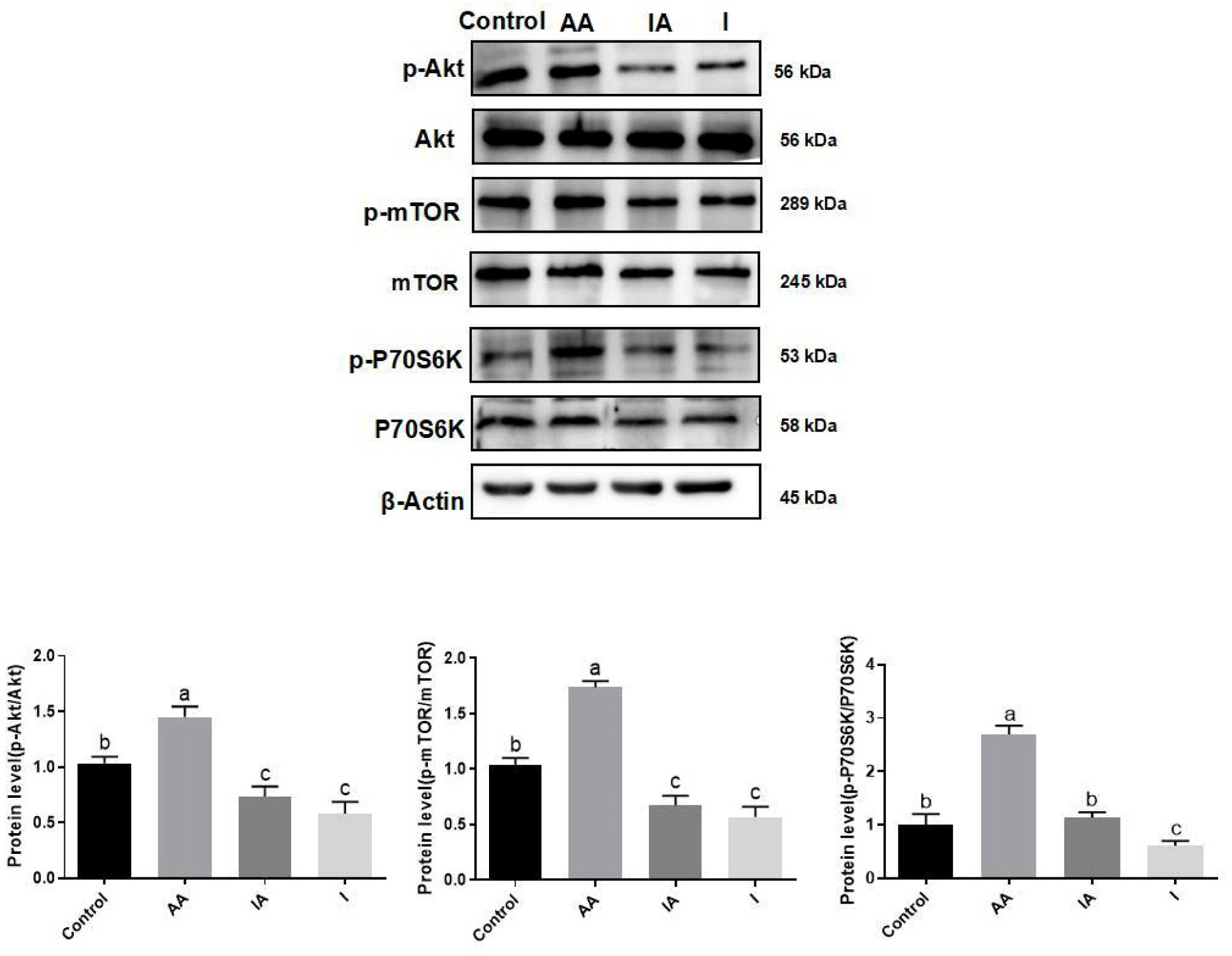 kosfa-45-2-484-g8